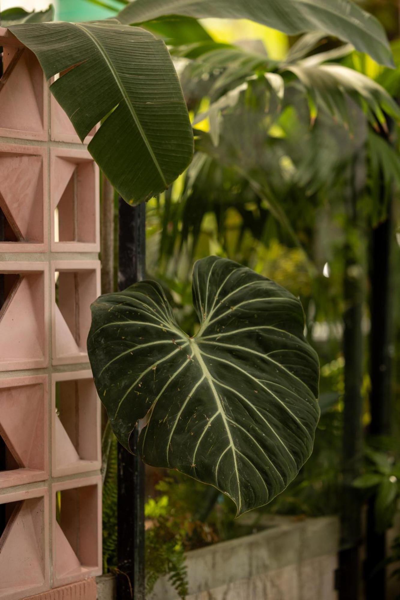 Sui Boutique Hotel Medellin Exterior photo